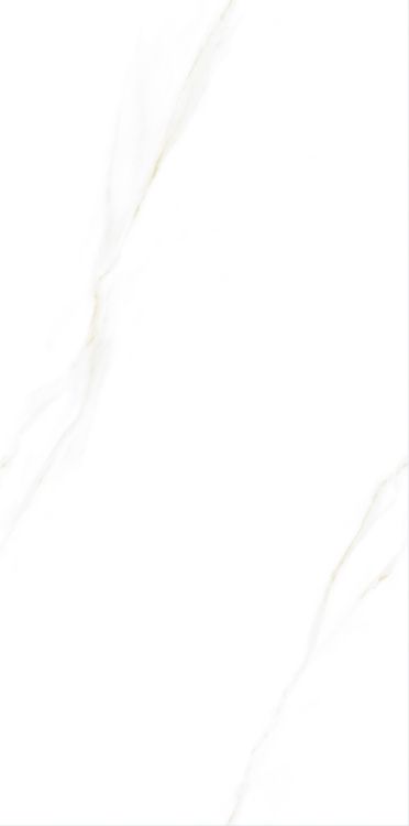 Time Cielo Polished 24 x 48